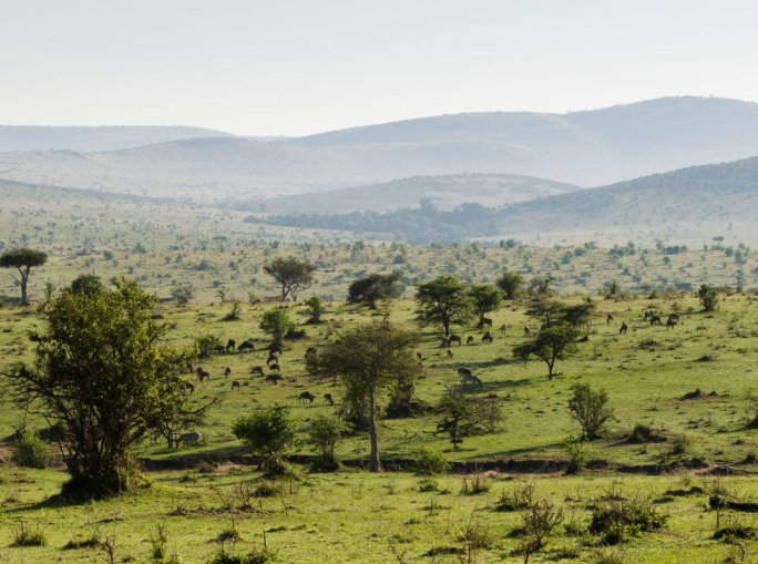 Northern Kenya Rangelands Carbon Project, a soil carbon market