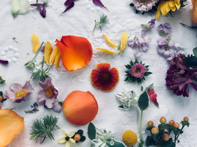 Bio-based, nutraceutica e agricoltura rigenerativa: ecco le prime startup di Terra Next