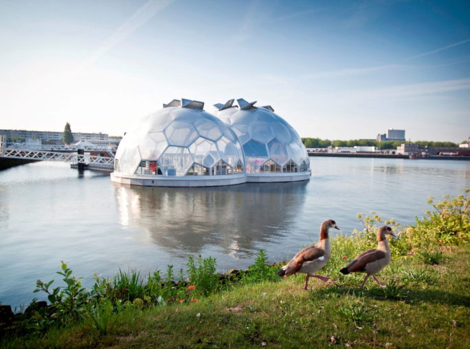 Blue Economy in the Netherlands: A Sea of Potential