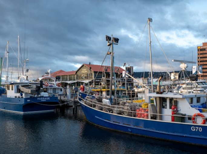 OMC, in vigore l’accordo sui sussidi alla pesca dopo vent’anni di negoziati