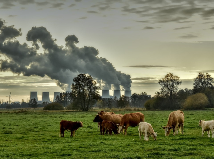 Che cos'è la mitigazione del cambiamento climatico