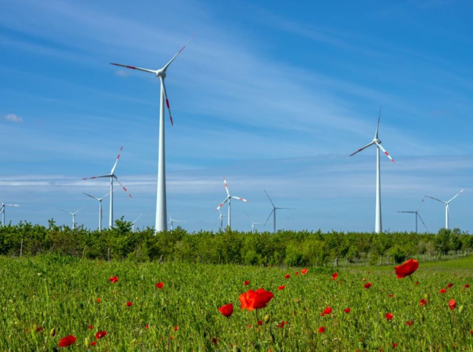Per sbloccare l’eolico in Italia servono regole omogenee e tempi certi