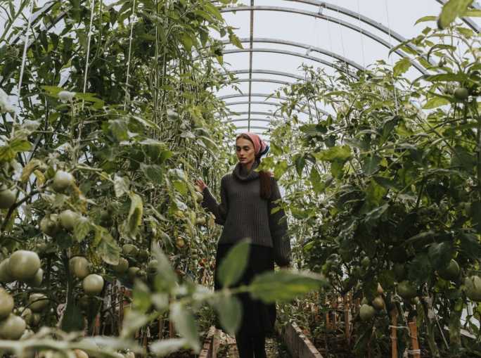 Per un sistema alimentare sostenibile serve una ricerca scientifica libera