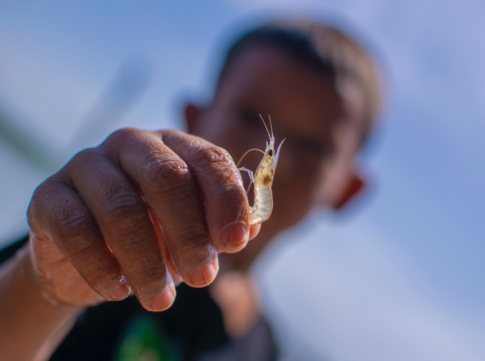 Riscoperta e valorizzazione del gambero d’acqua dolce