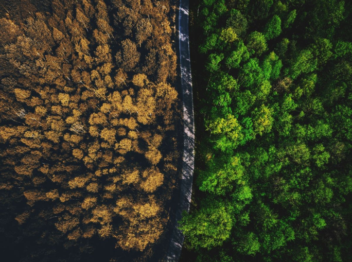 Problemi “irrisolvibili”? Una Door Selection per salvare i crediti di carbonio