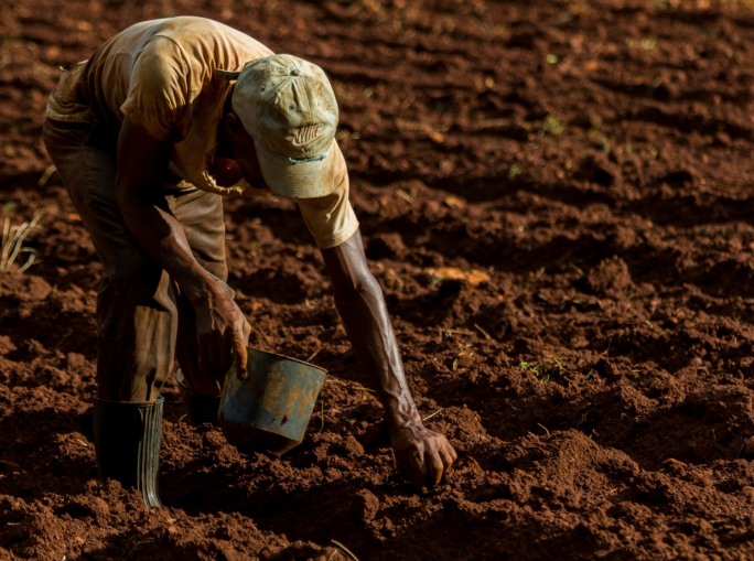 I batteri sono un’alternativa ai fertilizzanti chimici
