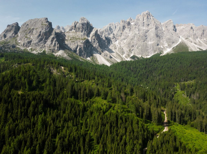 Rigenerare la natura urbana, compie tre anni il progetto Foresta Italia