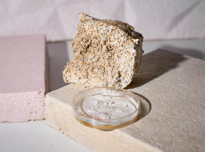 Startup: arredi e imballaggi biodegradabili dai funghi con RongoDesign