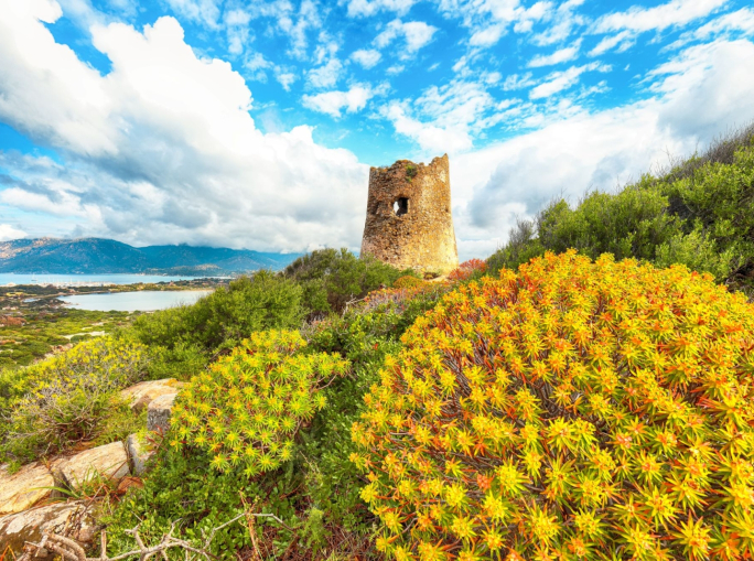 Perché la Sardegna ha deciso di fermare le rinnovabili