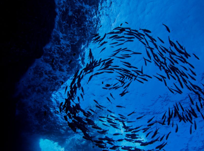 La Norvegia mette un freno al deep sea mining