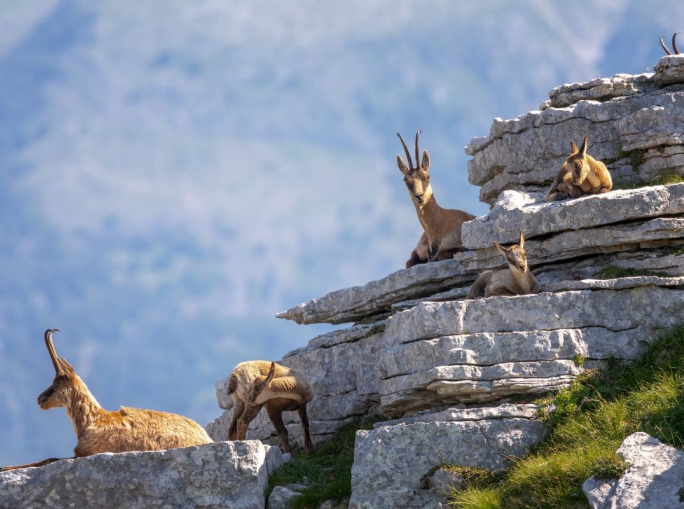Sesto Rapporto sul capitale naturale in Italia: 58 ecosistemi a rischio