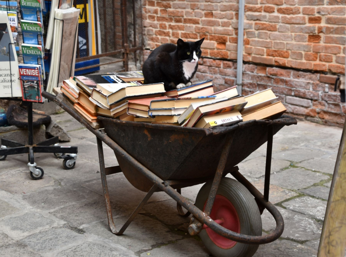 Sette vite come i gatti, storie di economia circolare