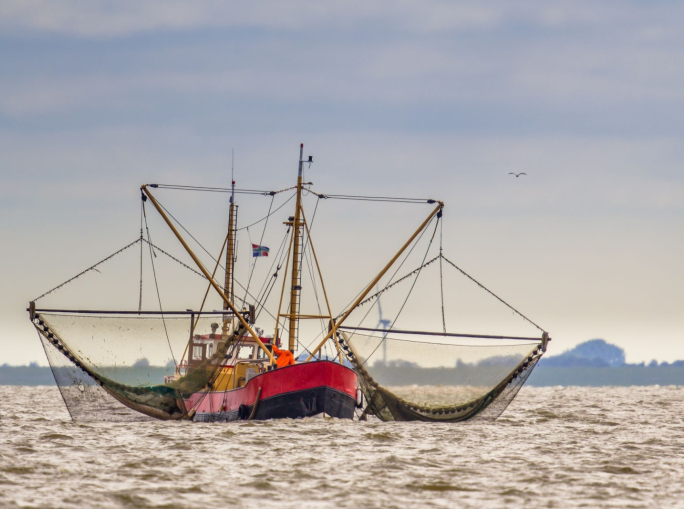 Quanta anidride carbonica emette la pesca a strascico?