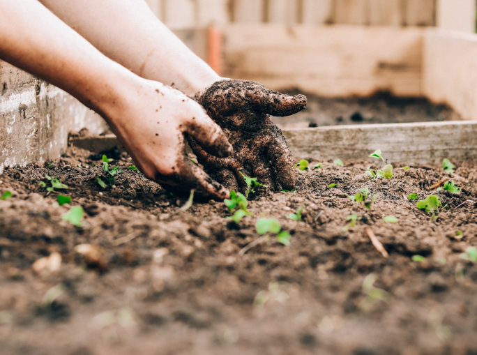 USA: the introduction of the COMPOST Act is a major step forward for soil conservation