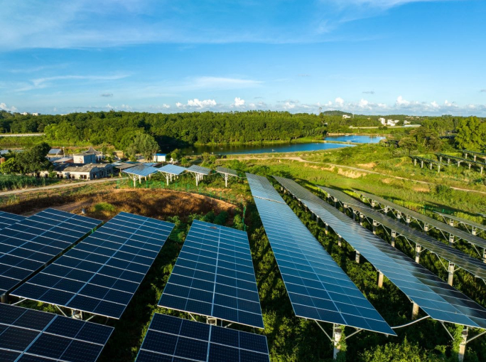 Energia e biodiversità: il fotovoltaico come alleato della natura