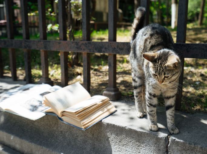 Spazio urbano, animali, tecnologia: 6 novità in libreria a marzo 2026