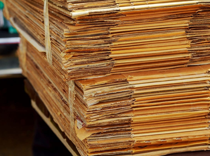 L'industria della carta USA contro la legge europea anti-deforestazione