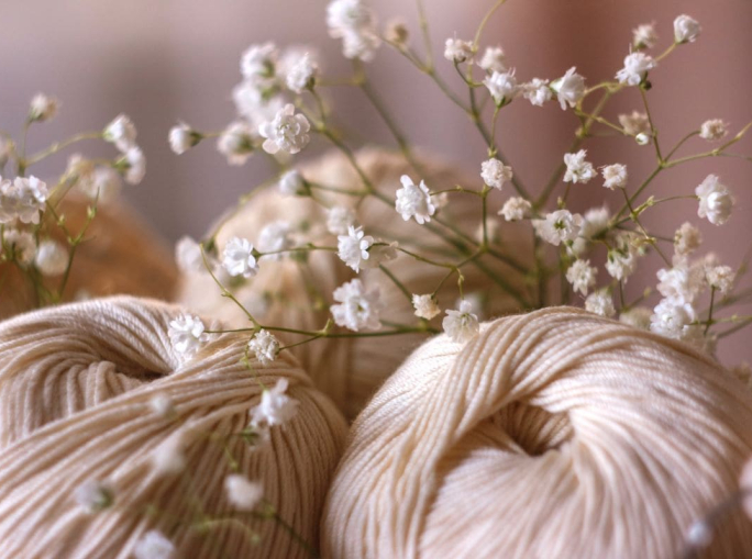 Startup, Wovenbeyond: fibre naturali per una moda che rigenera la terra
