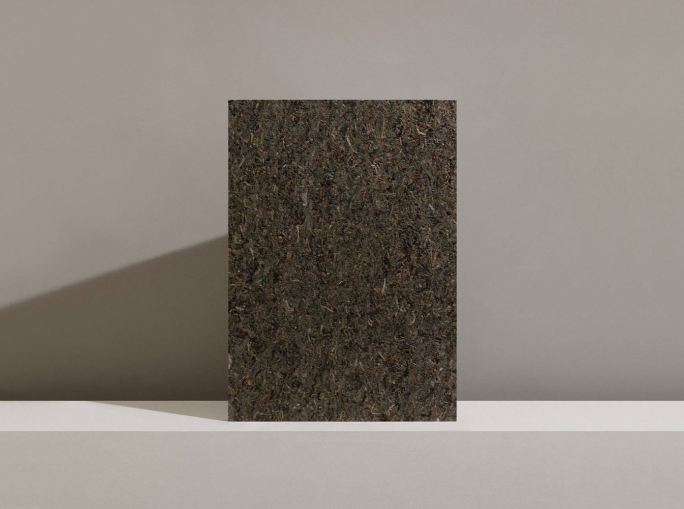 Startup: Søuld, from eelgrass materials designed for circularity