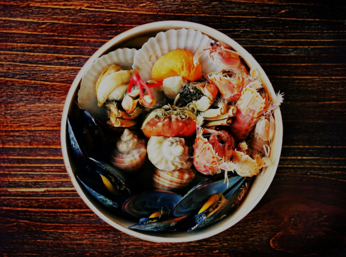 Startup, Seatopia: acquacoltura rigenerativa e frutti di mare certificati a domicilio