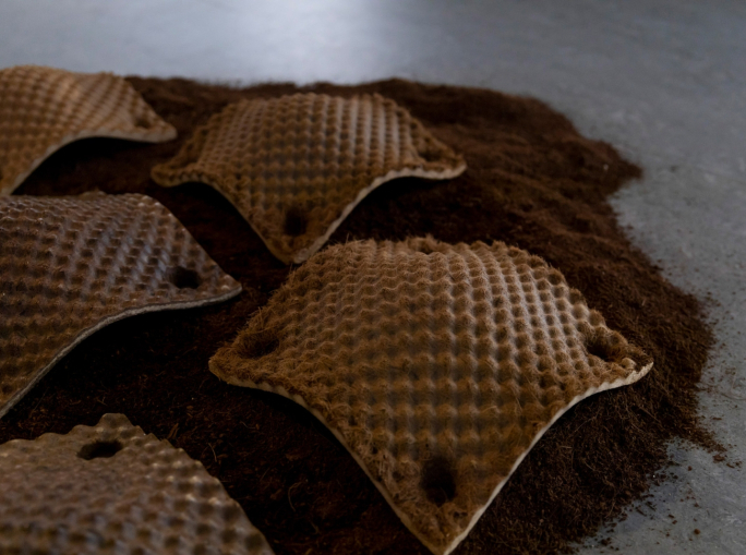 Startup: Willow Technologies ricerca e sviluppa sottoprodotti agricoli in Ghana