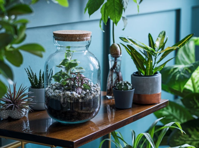 Myplant & Garden 2025 chiude con successo e guarda al futuro