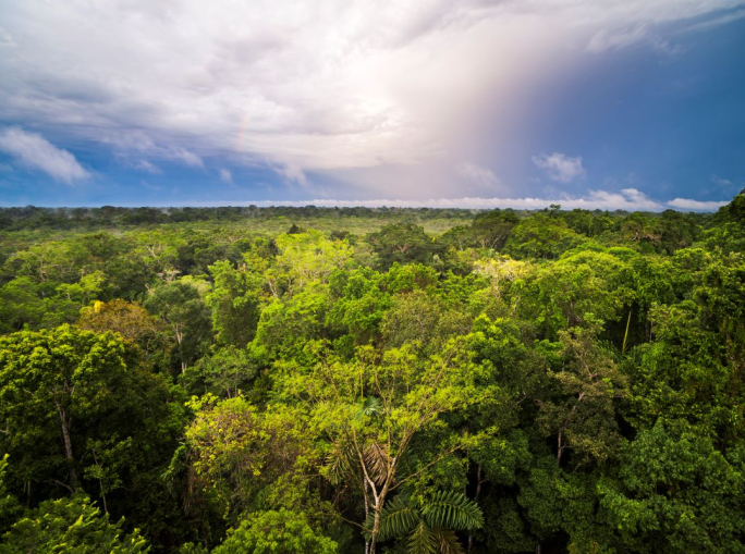 Sud America, cresce l’interesse per il petrolio e diminuisce quello per l’ambiente