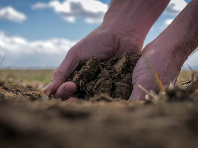 RoboNova: la biotecnologia per rigenerare il suolo
