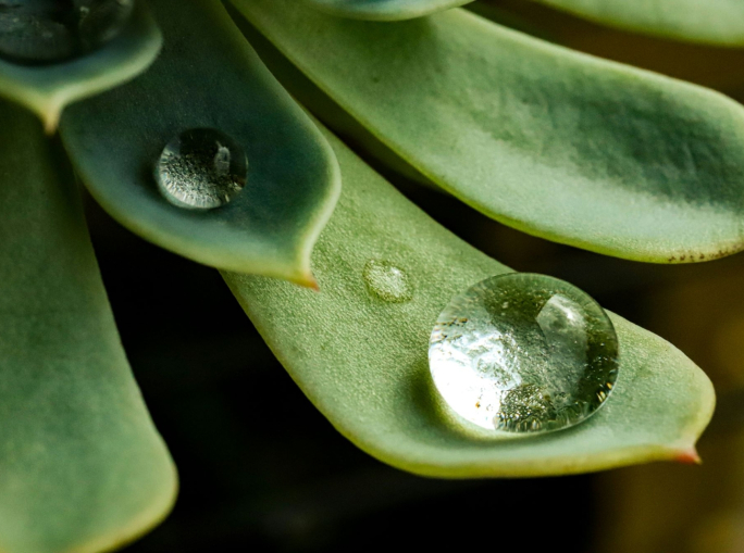 Imprese biobased, performance migliori delle non bio per fatturato e resilienza