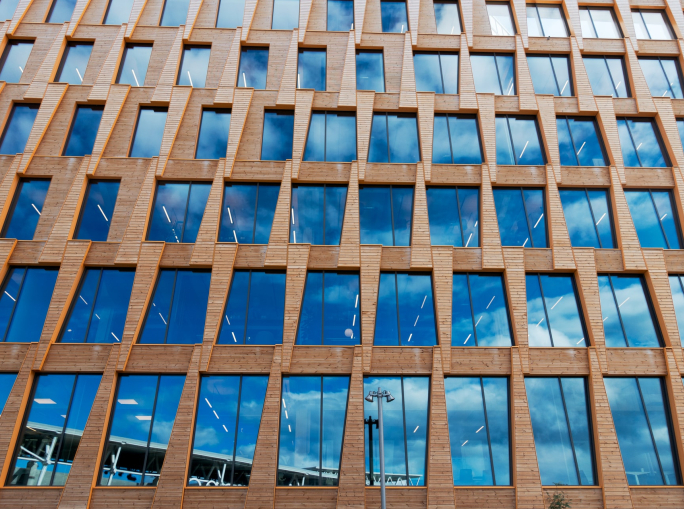 We need timber to build on the momentum of COP26