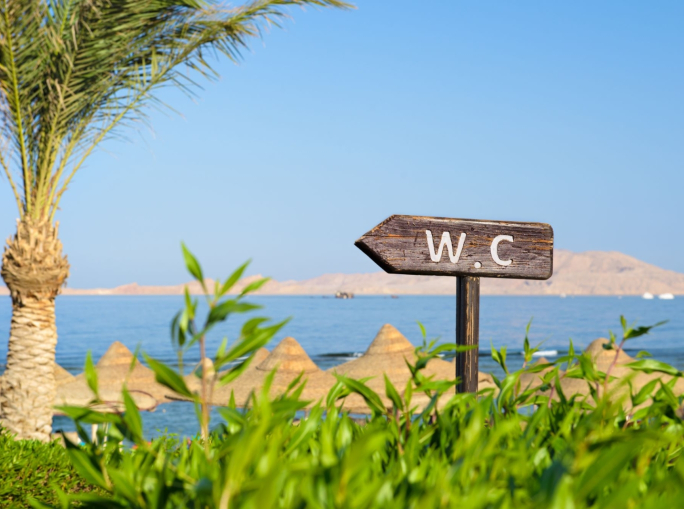 Toilets may provide an alternative to chemical fertilizers