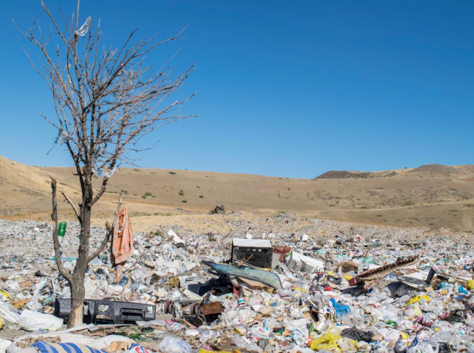 Overshoot Day, il 1° agosto abbiamo virtualmente finito le risorse del pianeta