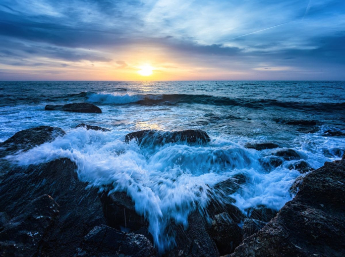 Tra accordi e blocchi: il bilancio del 2025 per l’oceano