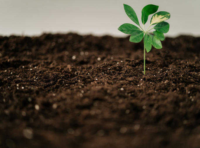 Verso un’economia circolare: settima edizione del Premio di eccellenza nazionale