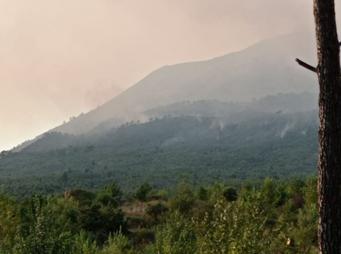 Incendi sul Vesuvio, 830 ettari bruciati ma cresce la rete civica di protezione