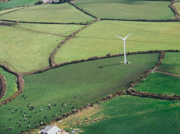 Cambio ai vertici Ispra: Maria Siclari è il nuovo direttore generale