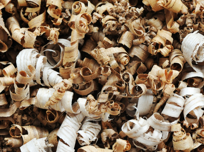 Energia da biomasse? Sì, ma con giudizio