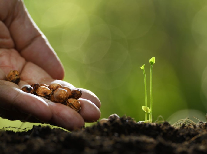 COP16 between biodiversity and food to reform the agribusiness sector