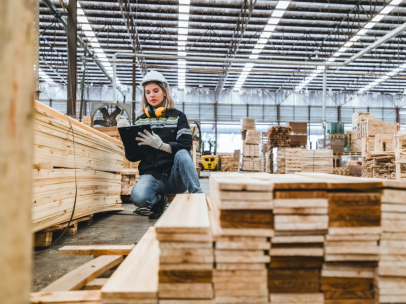 Postpone and improve: the timber supply chain debates the EUDR