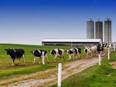 Biomethane, energy from circularity