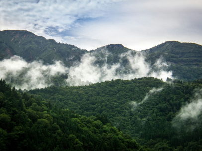 Rete Clima: serve sostenere carbon insetting tramite rigenerazione forestale e agricola