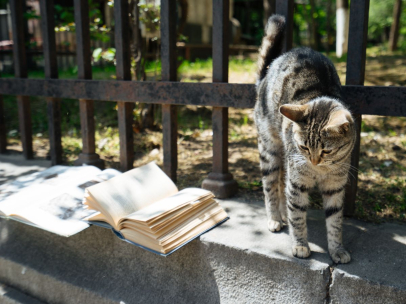 Spazio urbano, animali, tecnologia: 6 novità in libreria a marzo 2026