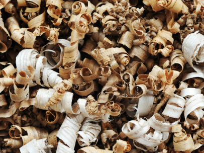 Energy from Biomass? Yes, but Wisely