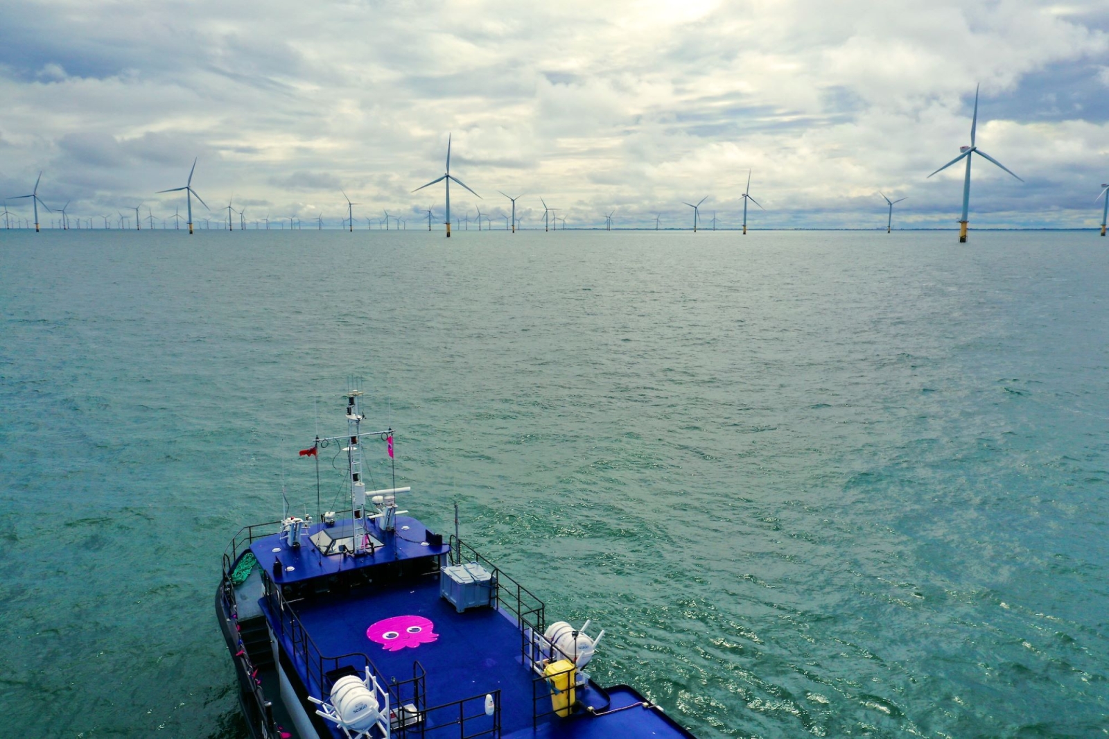 Octopus Energy investe 800 milioni di dollari in energia pulita