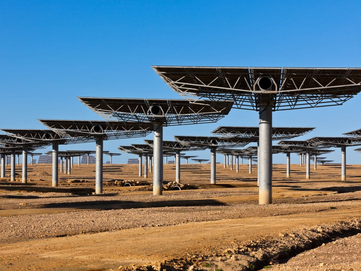 Octopus Energy nella campagna globale per la diffusione delle rinnovabili in Africa