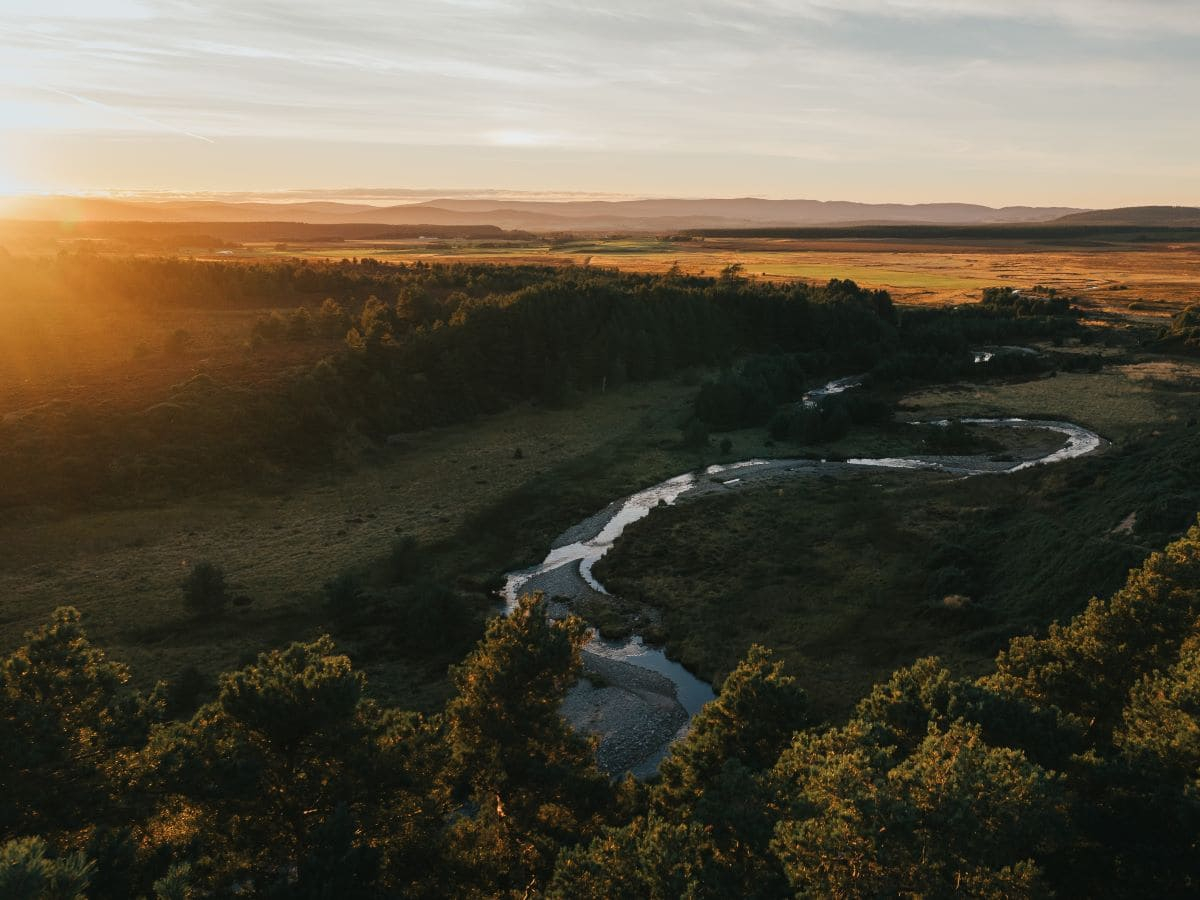 Oxygen Conservation: investing in natural capital