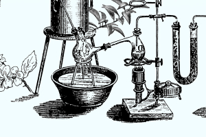 Green and Circular Jobs