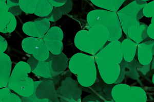 L'Irlanda è sempre più verde con la bioeconomia