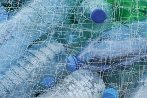 Fighting Single-Use Plastics