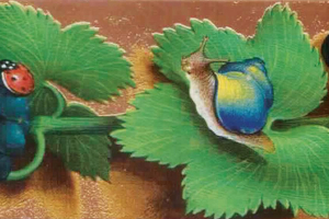 The Hidden Value of Plants